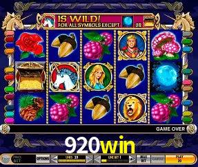 Roulette Table 920win